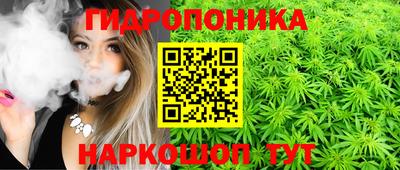 прущие грибы Апшеронск