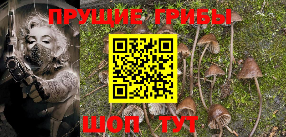 Галлюциногенные грибы MAGIC MUSHROOMS Батайск