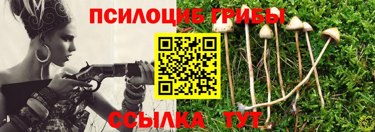 Батайск  Галлюциногенные грибы Psilocybe  Вход с VPN  Псилоцибиновые грибы Psilocybe 